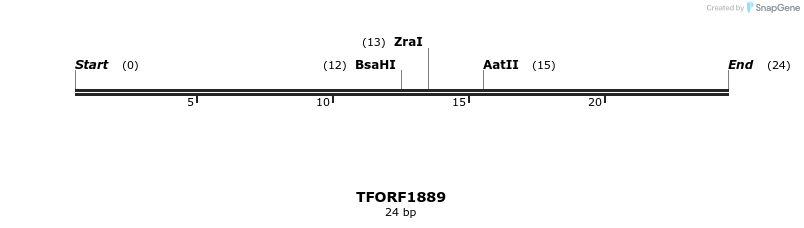 284707_map