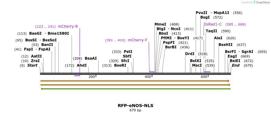 28471_map