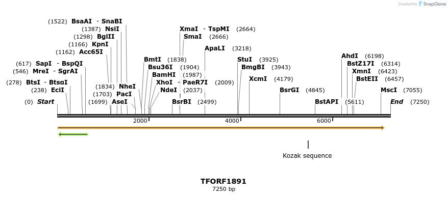 284712_map
