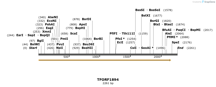 284715_map