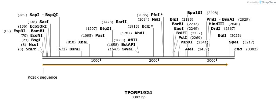 284718_map