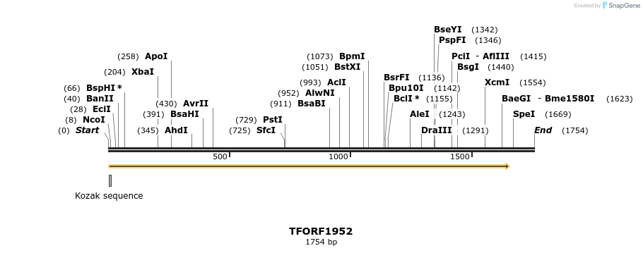 284721_map