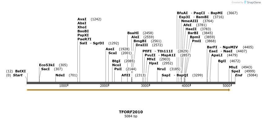 284727_map