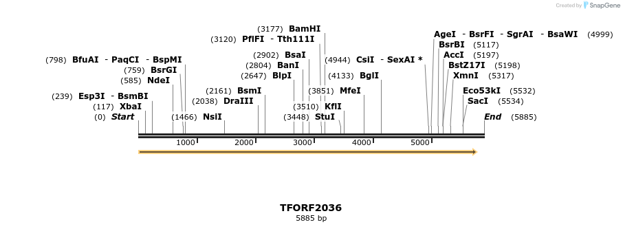 284730_map
