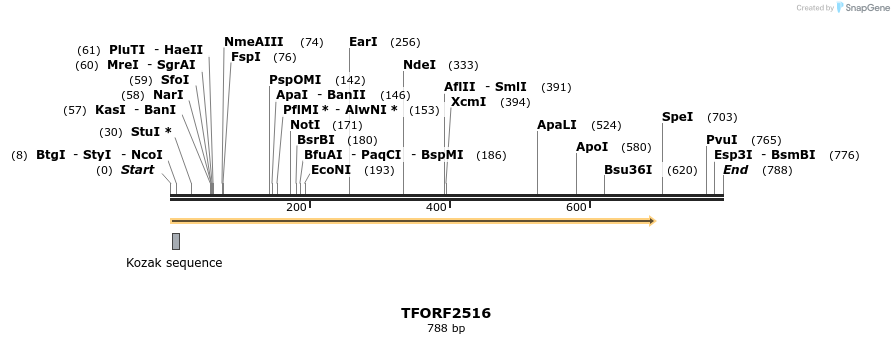 284739_map