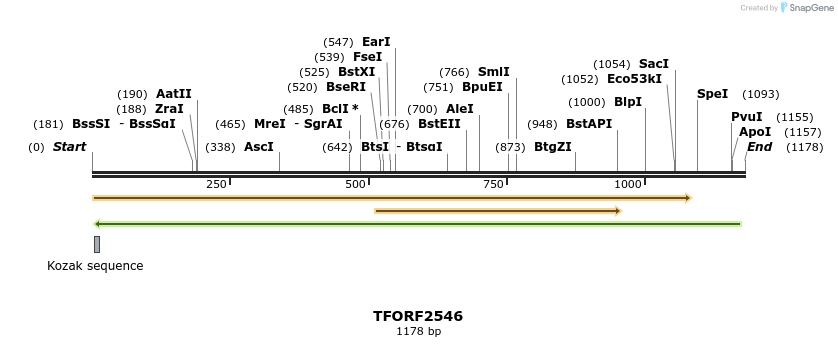 284742_map