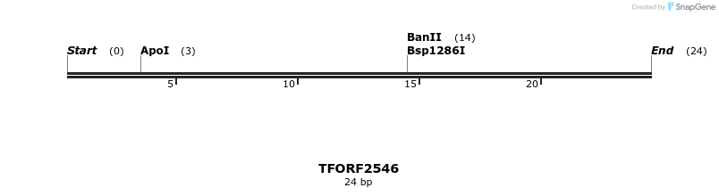 284743_map