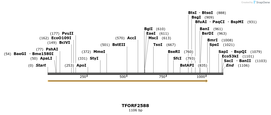 284745_map