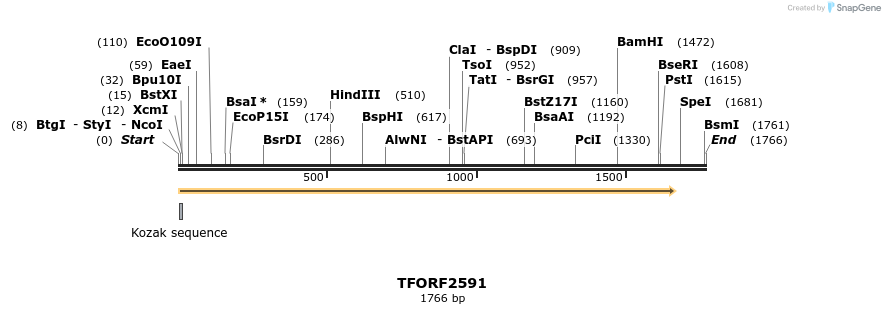 284748_map