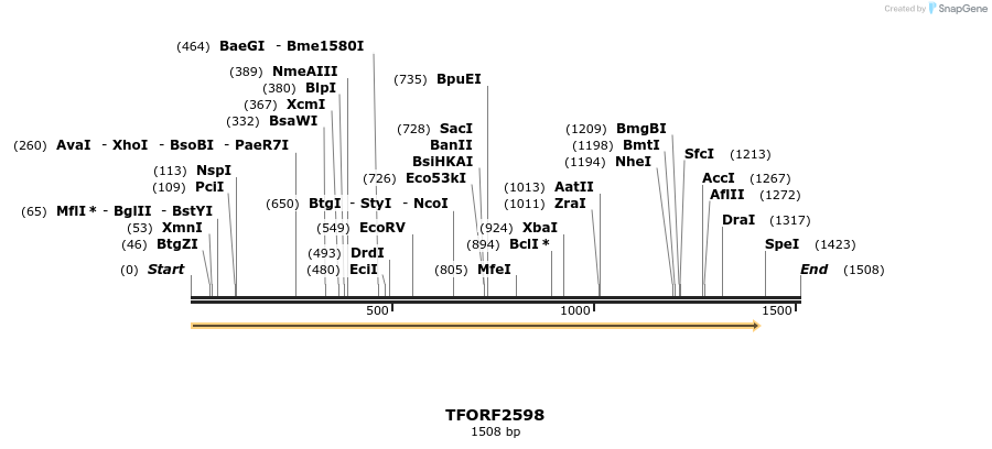 284751_map