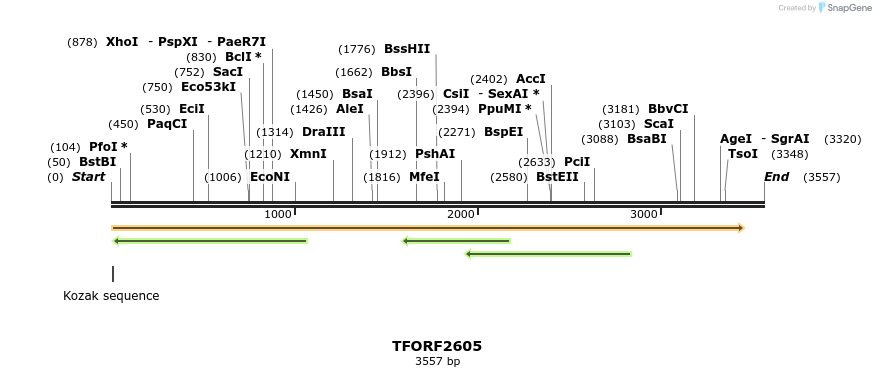 284757_map