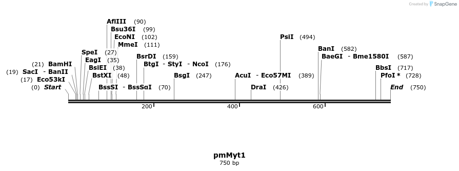 28476_map