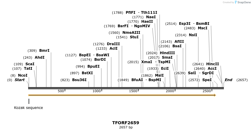 284760_map