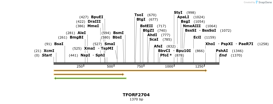 284763_map