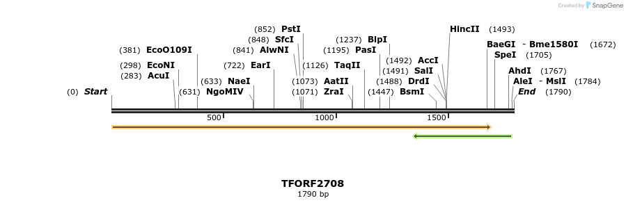 284766_map
