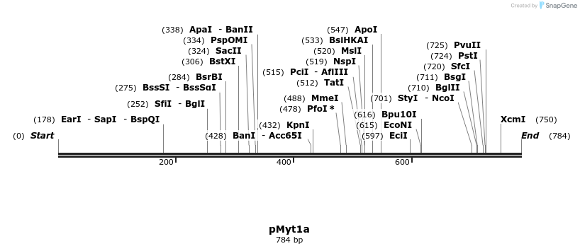 28477_map