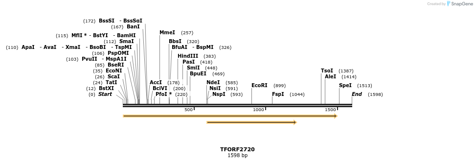 284772_map