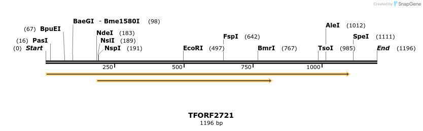 284775_map