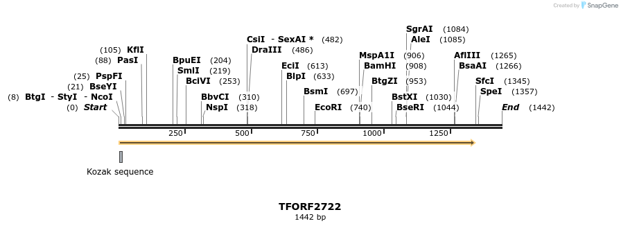 284778_map