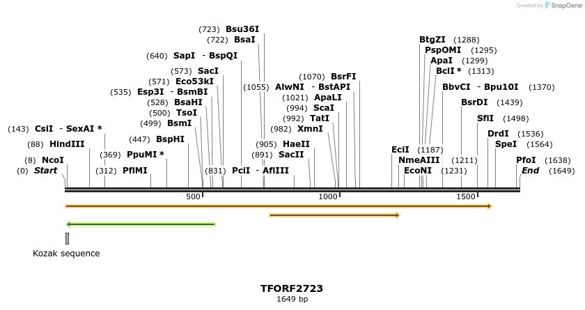 284781_map
