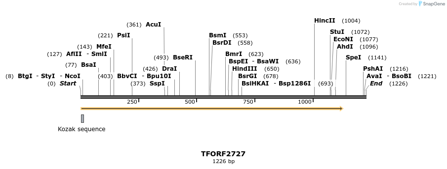 284784_map