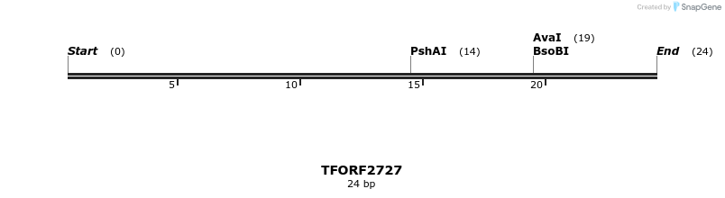 284785_map