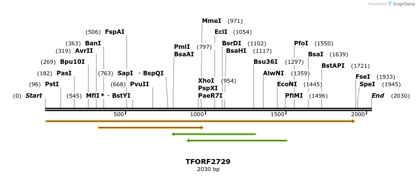 284787_map
