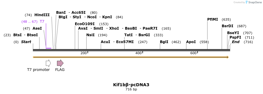 28479_map