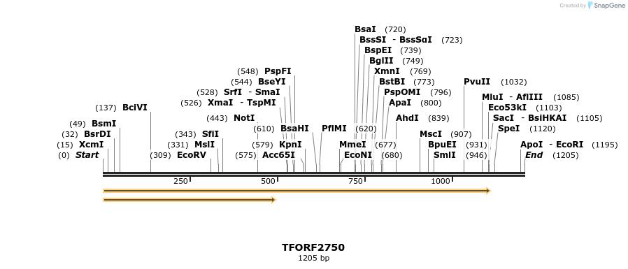 284793_map