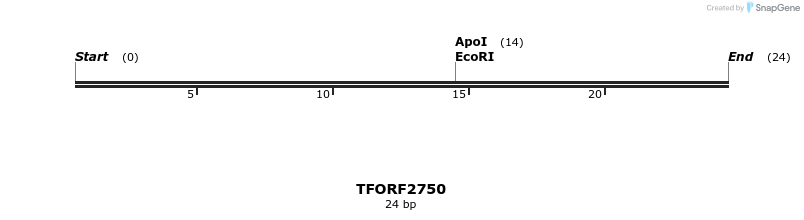284794_map