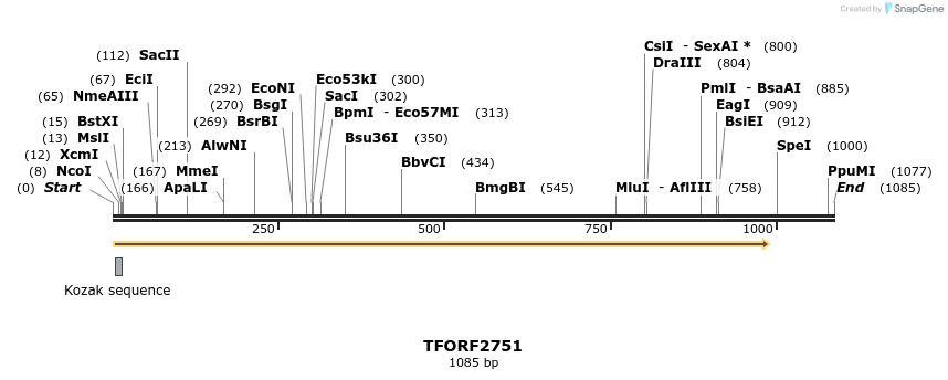 284796_map