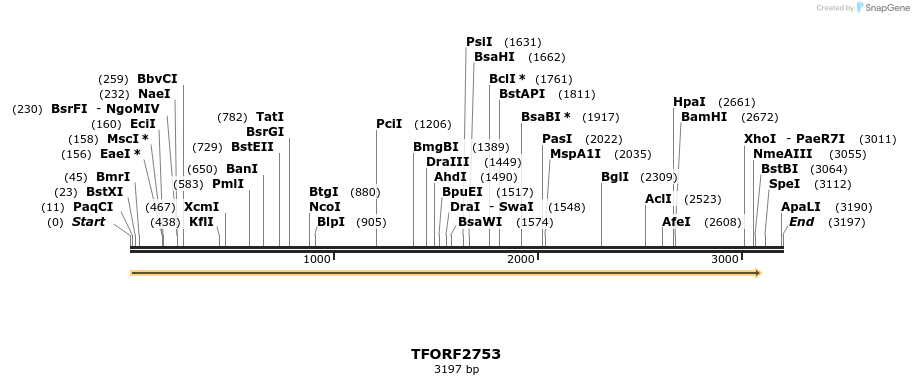 284802_map