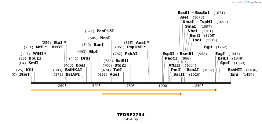 284805_map