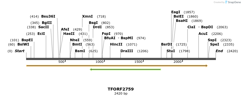 284808_map
