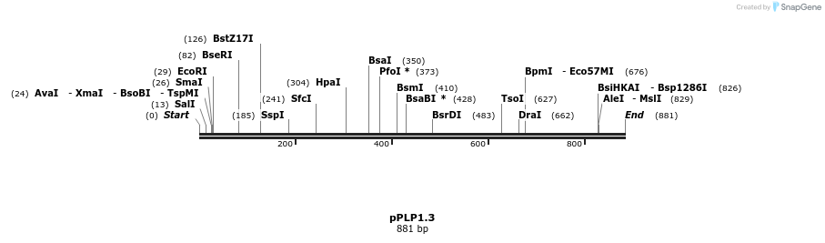 28481_map
