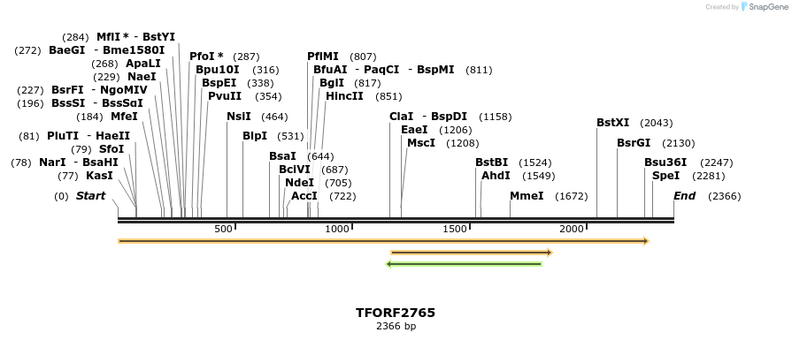 284811_map