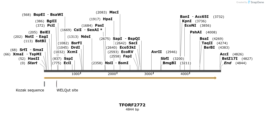 284814_map
