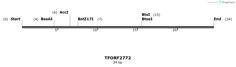 284815_map