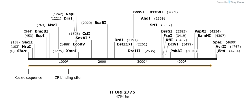 284817_map