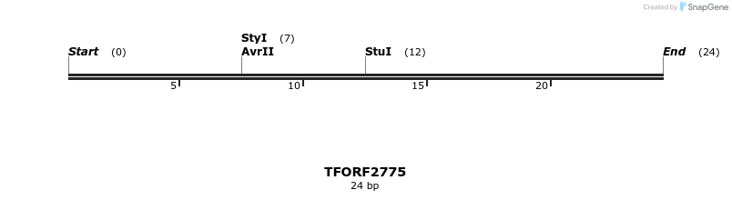 284818_map