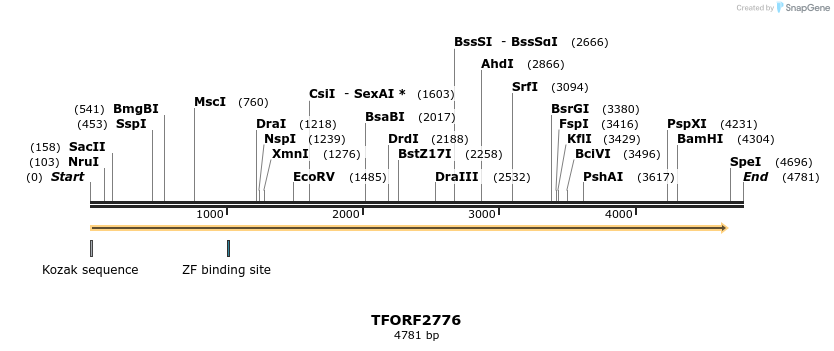 284820_map
