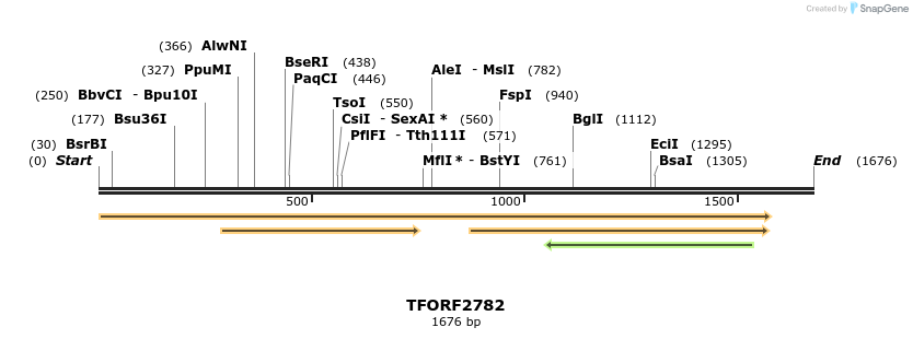 284823_map