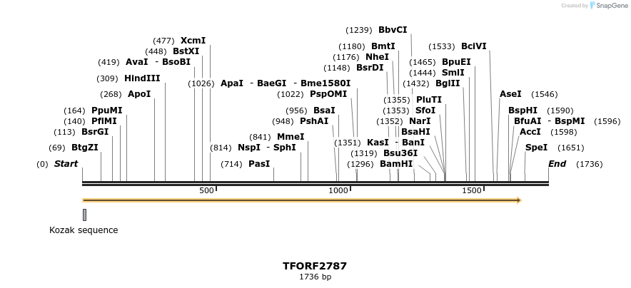 284826_map