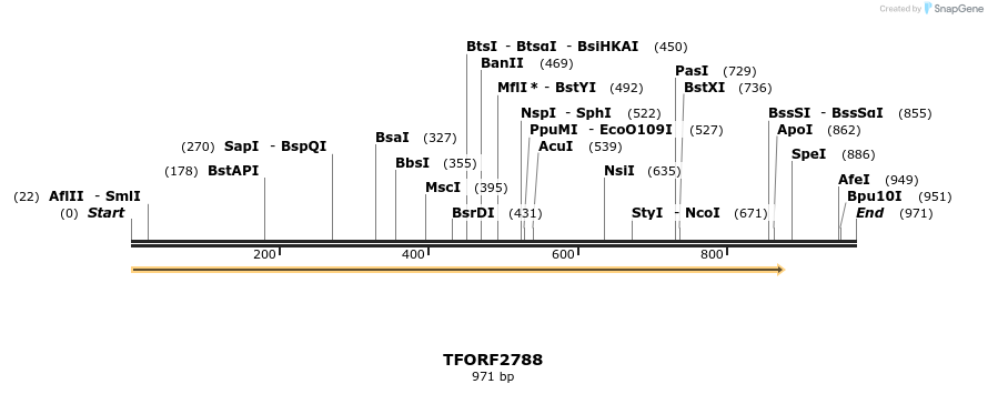 284829_map