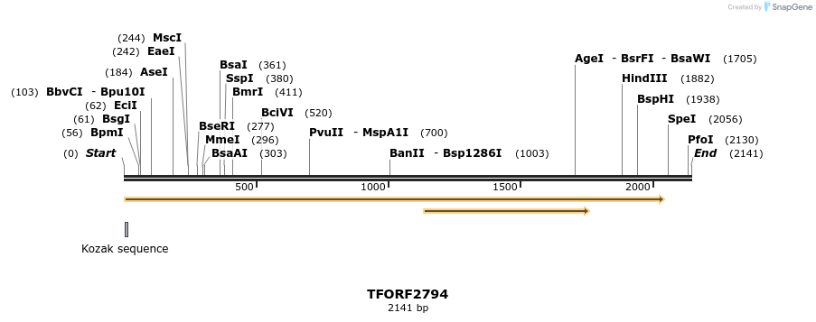 284832_map