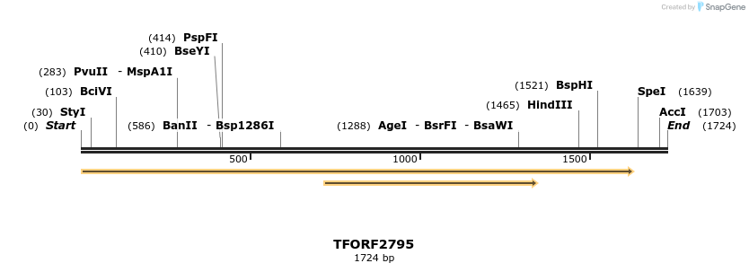 284835_map