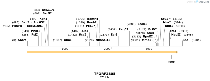 284838_map