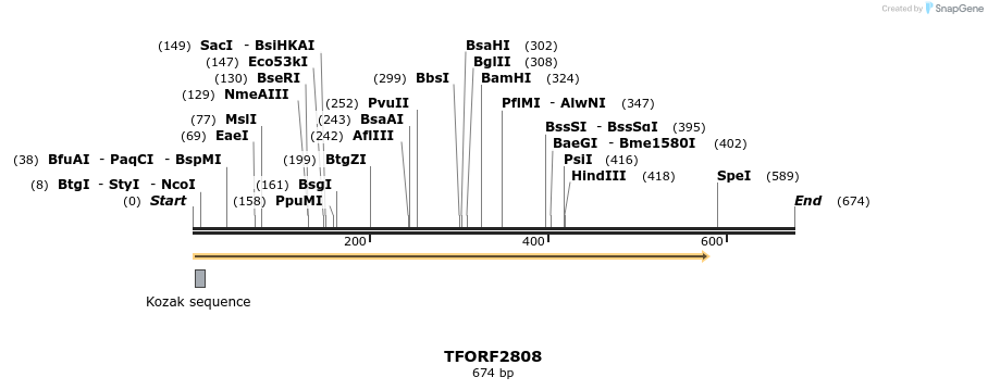 284844_map