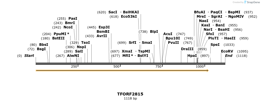 284847_map