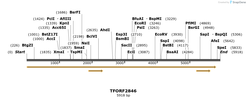 284859_map